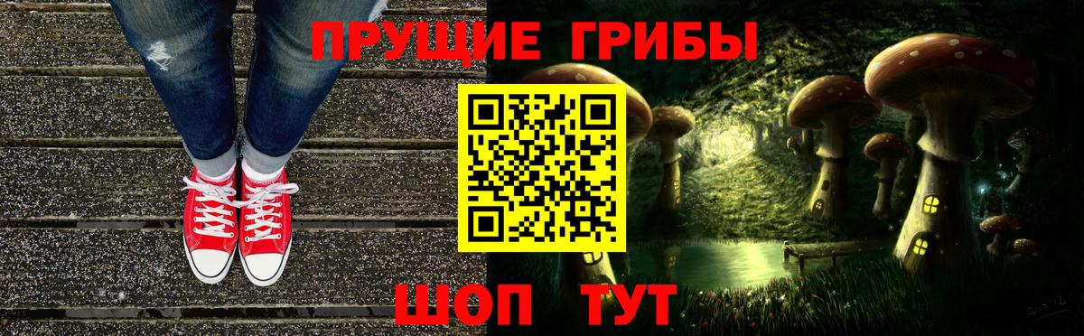 Псилоцибиновые грибы Psilocybe Назарово