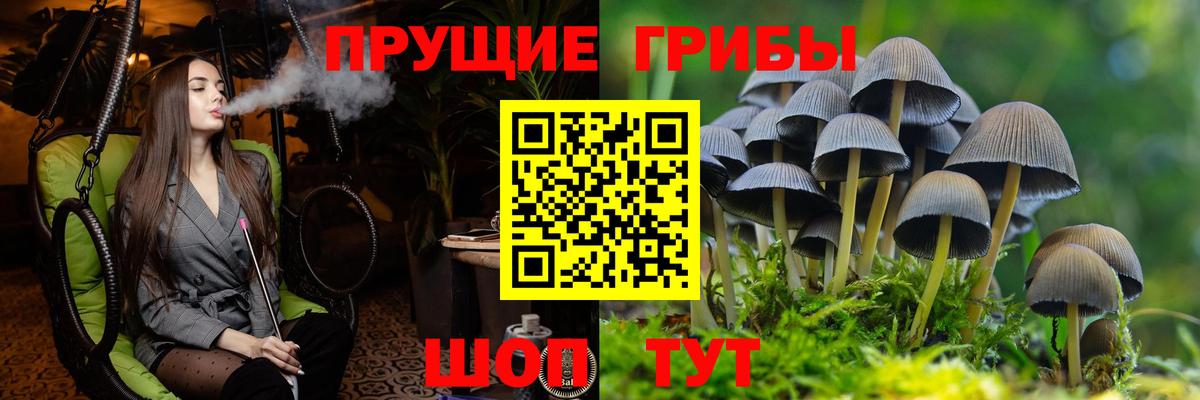 Галлюциногенные грибы мухоморы  Псилоцибиновые грибы MAGIC MUSHROOMS  продажа наркотиков  Вход с VPN  Назарово 